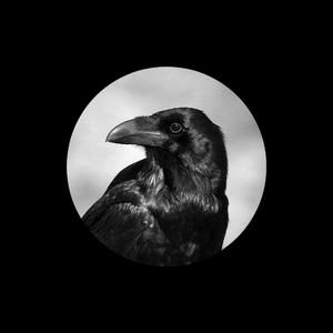 永久免费🔞🔞🔞未
