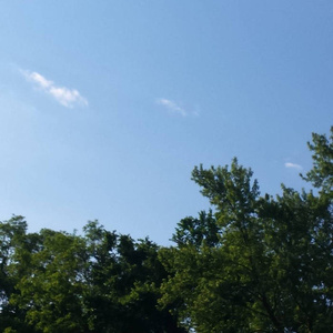 永久免费🔞🔞🔞未
