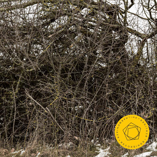 永久免费🔞🔞🔞未
